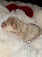 processed/06320814-b83f-4c34-88eb-7f963a0bea77/listing/1de6ca4e-d00f-4245-b202-71439efec3bd/4fd34234-b937-414b-8b43-c4c6e1ffcba6