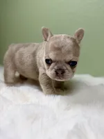 processed/06320814-b83f-4c34-88eb-7f963a0bea77/listing/1de6ca4e-d00f-4245-b202-71439efec3bd/7d09610a-500b-4559-b7a3-84ebb12ae7c8