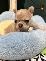 processed/06320814-b83f-4c34-88eb-7f963a0bea77/listing/1de6ca4e-d00f-4245-b202-71439efec3bd/b5899b61-c681-417f-883b-4c31fc15e011