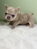 processed/06320814-b83f-4c34-88eb-7f963a0bea77/listing/1de6ca4e-d00f-4245-b202-71439efec3bd/bb6e7361-e00f-4dab-ae5a-7db71590294a