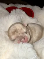 processed/06320814-b83f-4c34-88eb-7f963a0bea77/listing/1de6ca4e-d00f-4245-b202-71439efec3bd/d9e564bd-fa49-4f5d-bcb2-f18d75ff4e6f