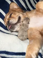 processed/06320814-b83f-4c34-88eb-7f963a0bea77/listing/1de6ca4e-d00f-4245-b202-71439efec3bd/f839068d-ca12-4e67-8c69-3496471dbd70