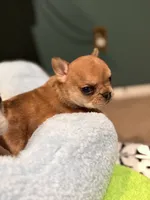 processed/06320814-b83f-4c34-88eb-7f963a0bea77/listing/99d93c37-5b61-451d-bf08-cc9c6aeb7862/29a7cbc0-c2f2-4884-bcd5-85ef97263210