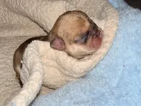 processed/06320814-b83f-4c34-88eb-7f963a0bea77/listing/99d93c37-5b61-451d-bf08-cc9c6aeb7862/7b3b5fa6-4d7b-4768-bf50-9b3be5404474