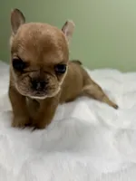 processed/06320814-b83f-4c34-88eb-7f963a0bea77/listing/99d93c37-5b61-451d-bf08-cc9c6aeb7862/7f42c782-12b9-4fc2-8a77-7bc6651a3a8e