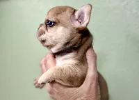 processed/06320814-b83f-4c34-88eb-7f963a0bea77/listing/99d93c37-5b61-451d-bf08-cc9c6aeb7862/90b2bdbc-6097-4671-a355-c148aa0937fe