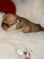 processed/06320814-b83f-4c34-88eb-7f963a0bea77/listing/99d93c37-5b61-451d-bf08-cc9c6aeb7862/93aa3f6f-c916-4c42-979d-c7f8a450997a