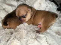 processed/06320814-b83f-4c34-88eb-7f963a0bea77/listing/99d93c37-5b61-451d-bf08-cc9c6aeb7862/a5be6561-3e18-4024-8565-5d653703c8cb