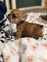 processed/06320814-b83f-4c34-88eb-7f963a0bea77/listing/99d93c37-5b61-451d-bf08-cc9c6aeb7862/df441ea9-a384-4aea-85cc-52d9c0861c88