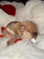 processed/06320814-b83f-4c34-88eb-7f963a0bea77/listing/99d93c37-5b61-451d-bf08-cc9c6aeb7862/ef02a3fd-f4df-4353-afb0-431a40be6167