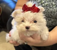 processed/0648acea-f341-4268-9128-a4d23331906f/facility/3bb93f1c-ba81-43a1-906c-c163aefa8a87