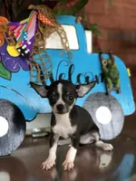 processed/0648acea-f341-4268-9128-a4d23331906f/facility/d6b485e6-cce4-4249-94e1-c9664ccba3bd