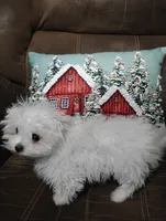 processed/0648acea-f341-4268-9128-a4d23331906f/listing/96144bac-0534-4aec-bbe6-5c1ead072cb1/9c4f294d-512b-4c54-a7d2-11e89881ffa3