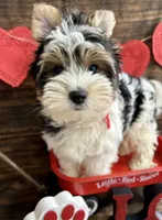 processed/064b7409-fbcd-430d-b486-a8d51710efd2/listing/13998957-3a69-4e75-9fa1-01da82313291/28cf81e8-5e3e-4ab1-84a9-f79cd9d439d8