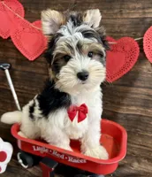 processed/064b7409-fbcd-430d-b486-a8d51710efd2/listing/13998957-3a69-4e75-9fa1-01da82313291/63abf811-98bf-4e4c-8064-49eae0540427