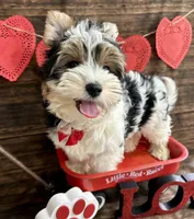 processed/064b7409-fbcd-430d-b486-a8d51710efd2/listing/13998957-3a69-4e75-9fa1-01da82313291/c6188ce7-83d2-49bd-900b-d190b9320d00