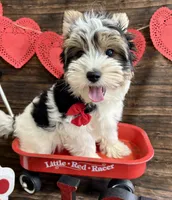 processed/064b7409-fbcd-430d-b486-a8d51710efd2/listing/13998957-3a69-4e75-9fa1-01da82313291/fa0e043b-bcf8-48a5-abd7-9a71beee45c2