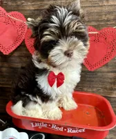 processed/064b7409-fbcd-430d-b486-a8d51710efd2/listing/5d3aa8a1-d01a-4501-8cdc-72e827baf9e3/0196fe27-6588-45d8-bf5d-5a2066100805