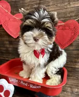 processed/064b7409-fbcd-430d-b486-a8d51710efd2/listing/5d3aa8a1-d01a-4501-8cdc-72e827baf9e3/922fc2b9-7ee6-4fdd-858b-614143697cb7