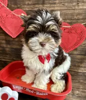 processed/064b7409-fbcd-430d-b486-a8d51710efd2/listing/5d3aa8a1-d01a-4501-8cdc-72e827baf9e3/987c9505-6362-454c-9a74-ab9e8884b917