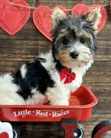 processed/064b7409-fbcd-430d-b486-a8d51710efd2/listing/62236ff2-e400-41bf-95ca-b1788ba3a82d/30414a2f-07f4-4e4c-aebb-8f03d6bf682d