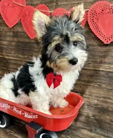 processed/064b7409-fbcd-430d-b486-a8d51710efd2/listing/62236ff2-e400-41bf-95ca-b1788ba3a82d/46d340d0-560c-4984-8db2-d7bd7622f0ba