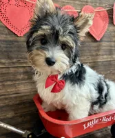 processed/064b7409-fbcd-430d-b486-a8d51710efd2/listing/62236ff2-e400-41bf-95ca-b1788ba3a82d/b6c07823-6d14-4463-88bb-6402027af331