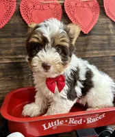 processed/064b7409-fbcd-430d-b486-a8d51710efd2/listing/a4670bed-b461-40de-93b4-5bac7901ee0d/1dcd183a-8661-41db-8826-6f81f209d484