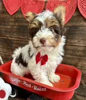 processed/064b7409-fbcd-430d-b486-a8d51710efd2/listing/a4670bed-b461-40de-93b4-5bac7901ee0d/445fcca7-ac7d-4f1d-8bcd-972b4a37cde9