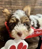 processed/064b7409-fbcd-430d-b486-a8d51710efd2/listing/a4670bed-b461-40de-93b4-5bac7901ee0d/a0640891-a5fd-41ab-932c-f8ecb545b308