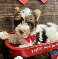 processed/064b7409-fbcd-430d-b486-a8d51710efd2/listing/a4670bed-b461-40de-93b4-5bac7901ee0d/d1b1e054-dd64-4640-be32-792a91c9ade5