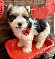 processed/064b7409-fbcd-430d-b486-a8d51710efd2/listing/a89427a0-68f0-4bc9-aa69-7813b05bcc8b/17a41696-c012-4128-9336-649c03f6ba72