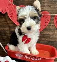 processed/064b7409-fbcd-430d-b486-a8d51710efd2/listing/a89427a0-68f0-4bc9-aa69-7813b05bcc8b/e4a98b6a-1b46-4b99-85e6-cbecd7dc7621