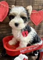 processed/064b7409-fbcd-430d-b486-a8d51710efd2/listing/a89427a0-68f0-4bc9-aa69-7813b05bcc8b/f2d45298-2097-4ce5-9de6-bb072e15a61e