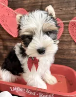 processed/064b7409-fbcd-430d-b486-a8d51710efd2/listing/a89427a0-68f0-4bc9-aa69-7813b05bcc8b/f301e1be-0549-4063-bd3b-398aae662bc1