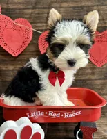 processed/064b7409-fbcd-430d-b486-a8d51710efd2/listing/a89427a0-68f0-4bc9-aa69-7813b05bcc8b/ffb80bde-c4df-4299-b994-efe2839f5650