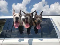 processed/064c34e2-df73-44a9-82f2-de99f22939c3/facility/5bcebfea-1a0b-4195-88f6-3b0d71f0bc13