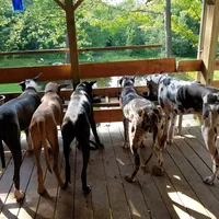 processed/064c34e2-df73-44a9-82f2-de99f22939c3/facility/bc47a1a0-d731-43ea-b270-11753183fb35