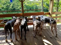 processed/064c34e2-df73-44a9-82f2-de99f22939c3/facility/bc47a1a0-d731-43ea-b270-11753183fb35