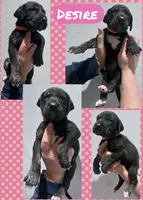 processed/064c34e2-df73-44a9-82f2-de99f22939c3/listing/62ebf087-bafe-4dd1-b059-a994c762e554/4ea23542-41a3-438c-9eea-55c260511947