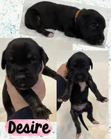 processed/064c34e2-df73-44a9-82f2-de99f22939c3/listing/62ebf087-bafe-4dd1-b059-a994c762e554/7af2a860-7d7d-46ce-beec-e99f2a77255d