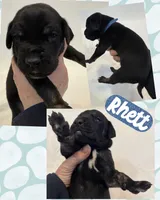 processed/064c34e2-df73-44a9-82f2-de99f22939c3/listing/a690a3fe-7dc7-450c-b3d3-b5beb297f0d0/ce87bf58-82cb-4458-a2b6-ddacb1fe4ab8