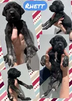 processed/064c34e2-df73-44a9-82f2-de99f22939c3/listing/a690a3fe-7dc7-450c-b3d3-b5beb297f0d0/f5137740-8b7b-4232-919d-15c7cd13eaac