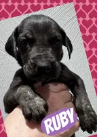 processed/064c34e2-df73-44a9-82f2-de99f22939c3/listing/b368e2a8-3779-44b3-a6ce-87a388cc289b/8b6bc463-71e8-4d72-8c31-7386399fd64c