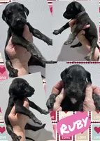 processed/064c34e2-df73-44a9-82f2-de99f22939c3/listing/b368e2a8-3779-44b3-a6ce-87a388cc289b/b973a691-5ed9-43dc-bd93-df1fd98056d1