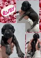 processed/064c34e2-df73-44a9-82f2-de99f22939c3/listing/b368e2a8-3779-44b3-a6ce-87a388cc289b/d67e4079-5287-45f9-9173-a1fd18827f15