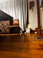 Scrappy, a male American Bully and American Pit Bull Terrier for sale in Chicago, IL – Photo 4 of 4