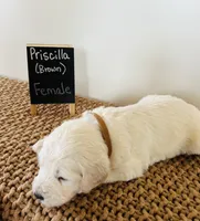 processed/0653e1ea-c266-459c-94d9-b42b5c87e3f1/listing/1ebc5475-cd98-4bff-9821-b0767837235b/45f16a58-d414-40cc-8a8a-bfbac603b1b4