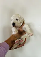 processed/0653e1ea-c266-459c-94d9-b42b5c87e3f1/listing/1ebc5475-cd98-4bff-9821-b0767837235b/88632d97-1541-45a9-95d0-fd6dfacb6f27