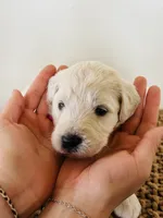 processed/0653e1ea-c266-459c-94d9-b42b5c87e3f1/listing/1ebc5475-cd98-4bff-9821-b0767837235b/ac3cacb9-2b38-4f2d-bf6a-13820b7edceb